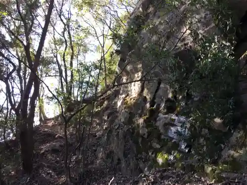 佐志能神社の自然