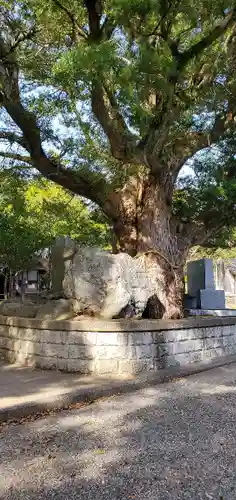鶴谷八幡宮の自然