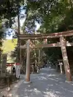 狭井坐大神荒魂神社(狭井神社)(奈良県)