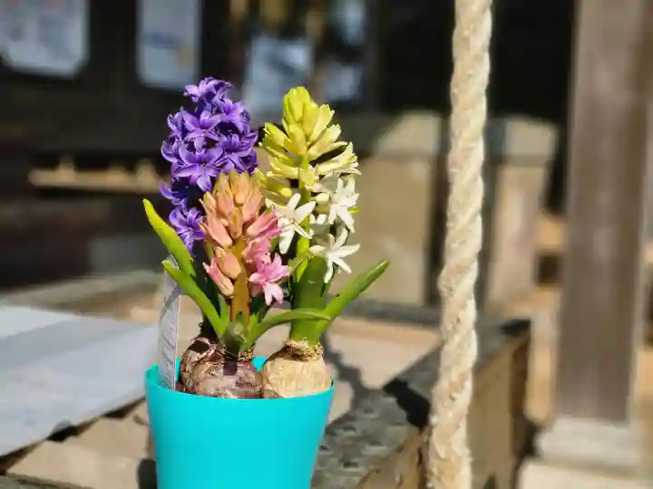 伏木香取神社の自然