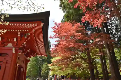 比叡山延暦寺の自然