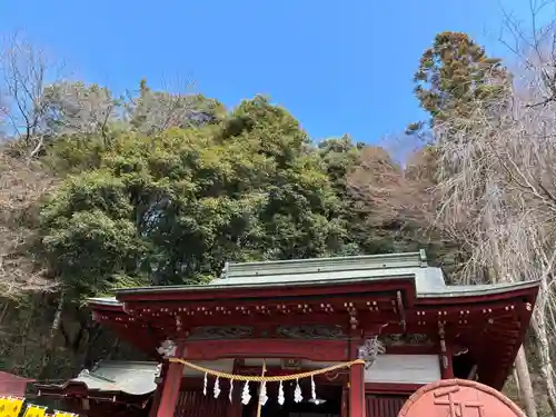 聖神社(埼玉県)