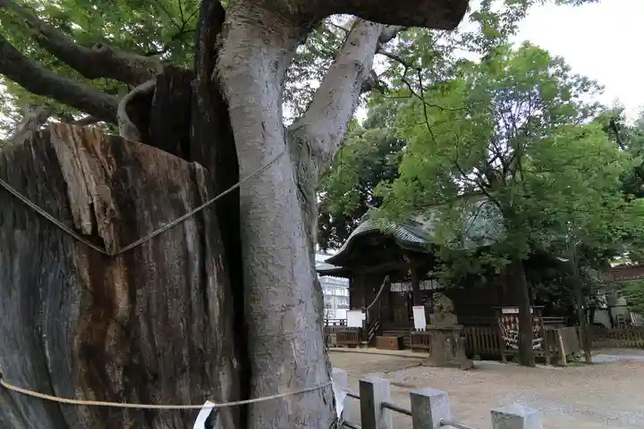 阿邪訶根神社の本殿・本堂