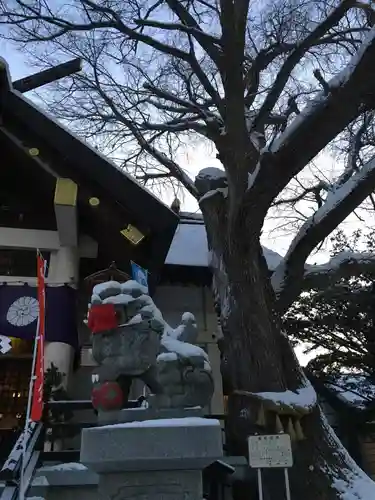 豊平神社の狛犬