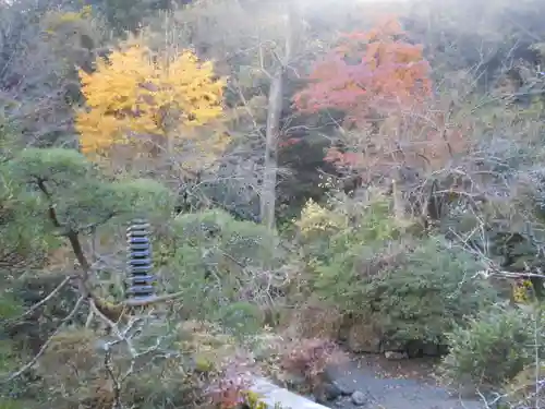 光則寺の庭園