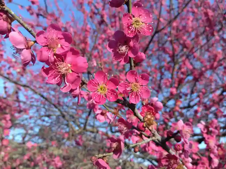 花乃丘神社(三重県)