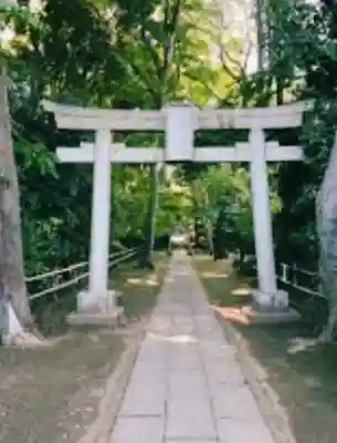 喜多見氷川神社の鳥居
