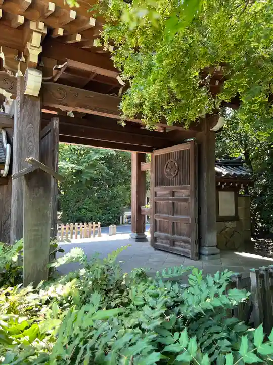 高円寺(東京都)