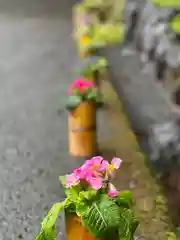 須山浅間神社(静岡県)