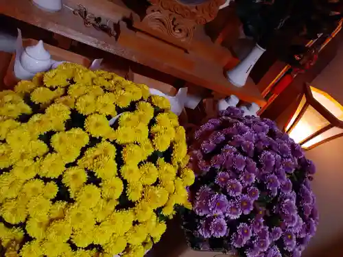 伏木香取神社の自然