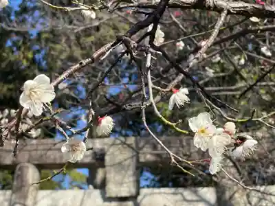 近津神社(福岡県)