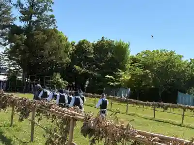 賀茂別雷神社（上賀茂神社）(京都府)