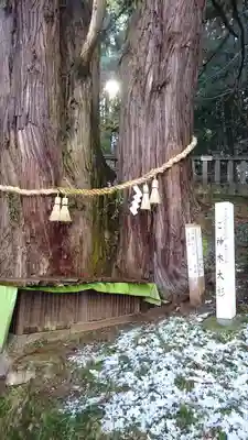 導観稲荷神社の自然