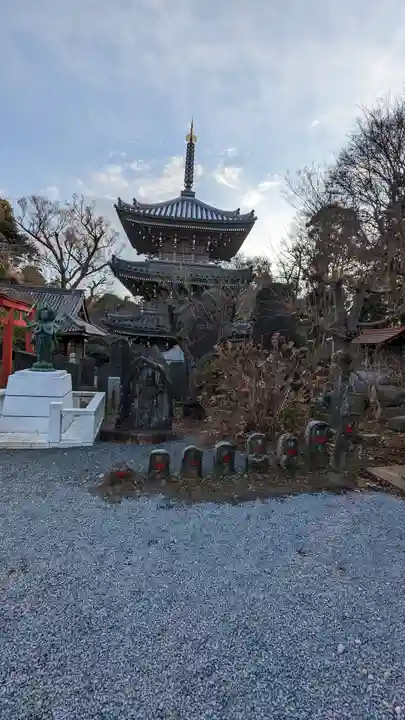 金蔵寺(千葉県)