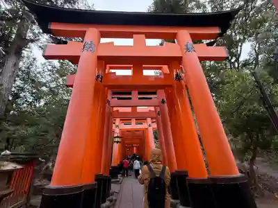 伏見稲荷大社(京都府)
