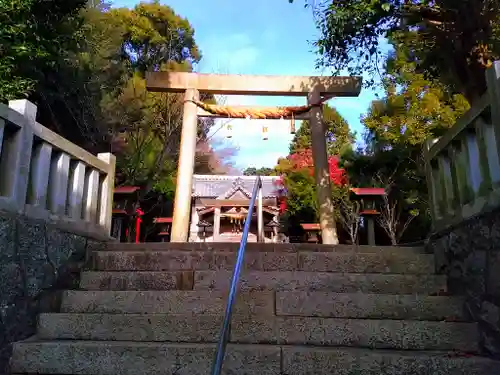 土御前神社の鳥居