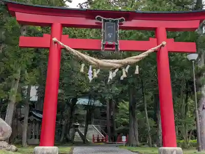 度津神社の{uncategorized: "未分類", other: "その他", undefined: "問題あり", building: "その他建物", grave: "お墓", sacred_gate: "鳥居", guardian: "狛犬", statue: "像", buddha: "仏像", history: "歴史", nature: "自然", garden: "庭園", animal: "動物", pagoda: "塔", temizu: "手水舎", mountain_gate: "山門・神門", sanctuary: "本殿・本堂", subordinate: "末社・摂社", art: "芸術", scenery: "景色", jizo: "地蔵", ema: "絵馬", goshuin: "御朱印", omikuji: "おみくじ", items: "授与品その他", amulet: "お守り", goshuincho: "御朱印帳", eats: "食事", festival: "お祭り", votive_dance: "神楽", shichigosan: "七五三参", wedding: "結婚式", experience: "体験その他", initially: "初詣", around: "周辺", anti_infection: "感染症対策"}