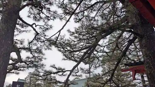 平安神宮(京都府)