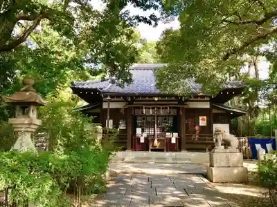 安居神社の本殿・本堂