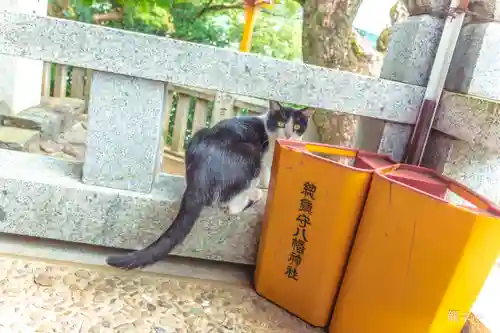 總鎮守八幡神社(愛媛県)