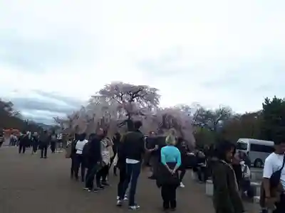 八坂神社(祇園さん)(京都府)