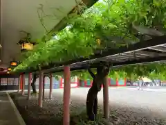 日枝神社(東京都)