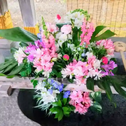 彌彦神社　(伊夜日子神社)の手水舎