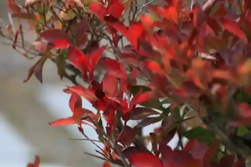 御嶽山神社の庭園