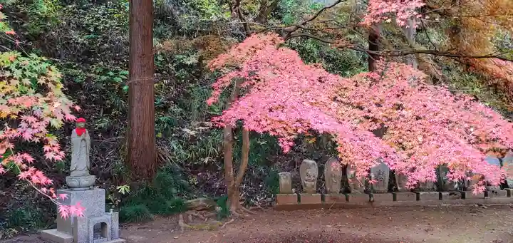 黒石寺(岩手県)