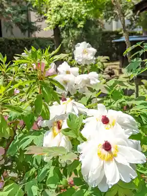 乙訓寺(京都府)
