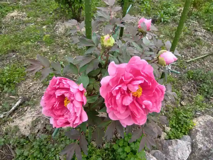 本覚寺(岐阜県)