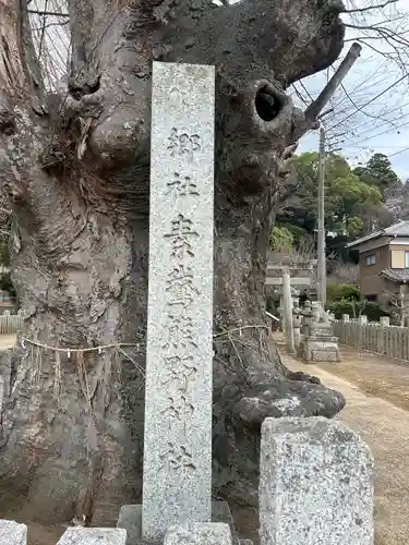 素鵞熊野神社(茨城県)
