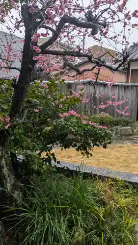 華開院(京都府)
