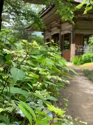 青龍山 吉祥寺(群馬県)