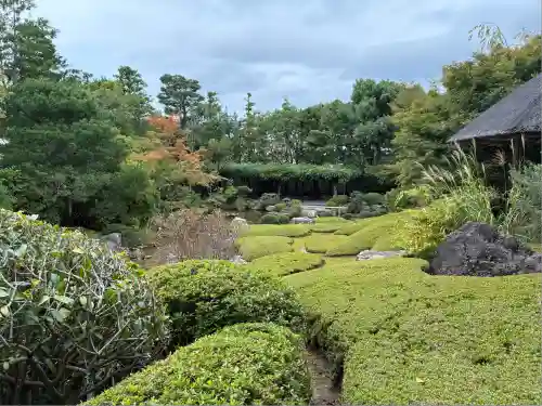 退蔵院(京都府)