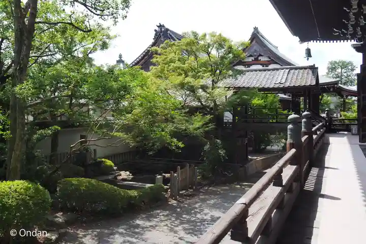 妙顯寺(妙顕寺)(京都府)