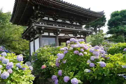 観音寺の山門・神門