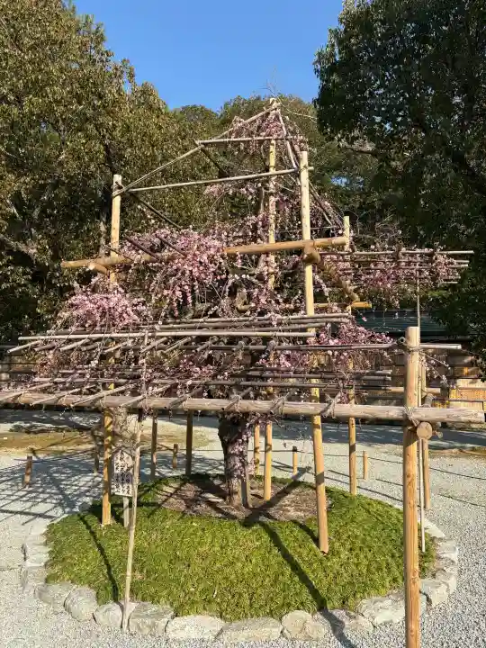 橿原神宮の{uncategorized: "未分類", other: "その他", undefined: "問題あり", building: "その他建物", grave: "お墓", sacred_gate: "鳥居", guardian: "狛犬", statue: "像", buddha: "仏像", history: "歴史", nature: "自然", garden: "庭園", animal: "動物", pagoda: "塔", temizu: "手水舎", mountain_gate: "山門・神門", sanctuary: "本殿・本堂", subordinate: "末社・摂社", art: "芸術", scenery: "景色", jizo: "地蔵", ema: "絵馬", goshuin: "御朱印", omikuji: "おみくじ", items: "授与品その他", amulet: "お守り", goshuincho: "御朱印帳", eats: "食事", festival: "お祭り", votive_dance: "神楽", shichigosan: "七五三参", wedding: "結婚式", experience: "体験その他", initially: "初詣", around: "周辺", anti_infection: "感染症対策"}