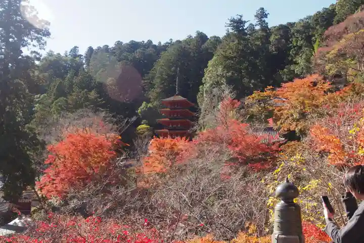 長谷寺のその他建物