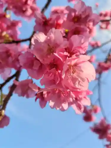 かっぱの寺 栖足寺(静岡県)