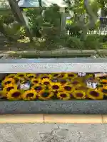 竹駒神社(宮城県)