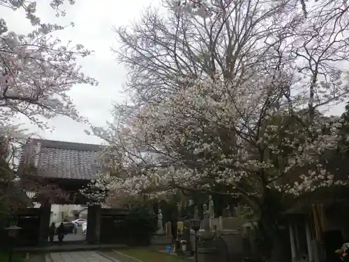 長勝寺の景色