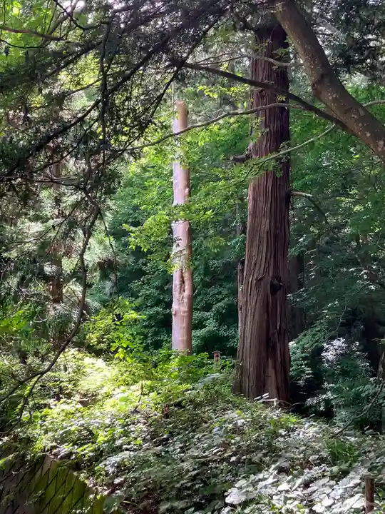 諏訪大社(長野県)
