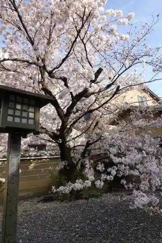 大報恩寺（千本釈迦堂）の自然
