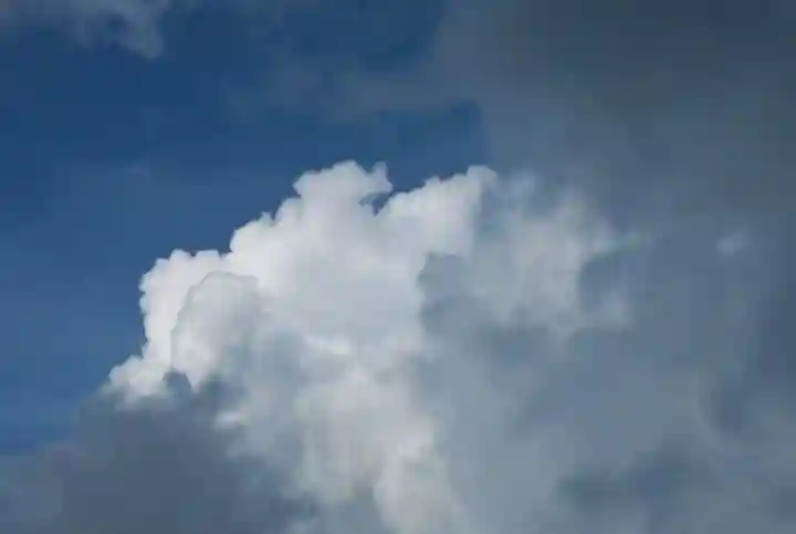 片埜神社(大阪府)