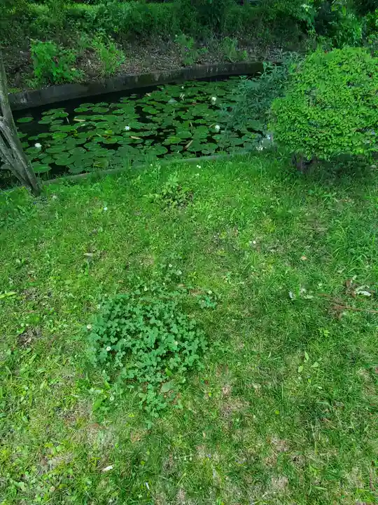 丸山弁財天神社の庭園
