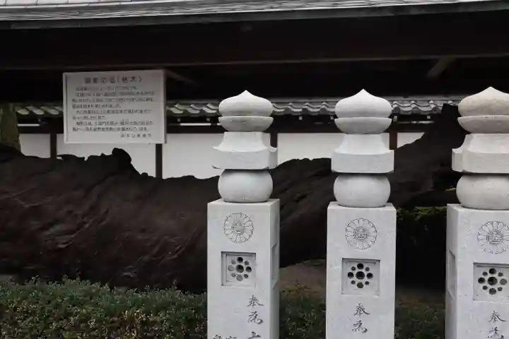 善通寺のその他建物