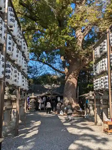 伊久比売神社(和歌山県)