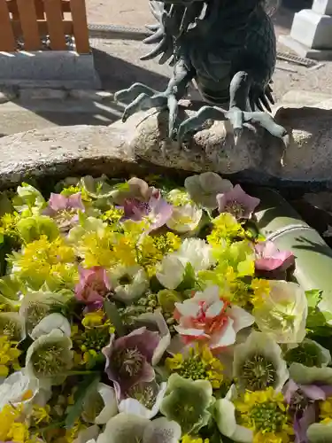 立志神社の手水舎