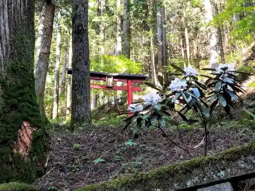 榛名神社(群馬県)
